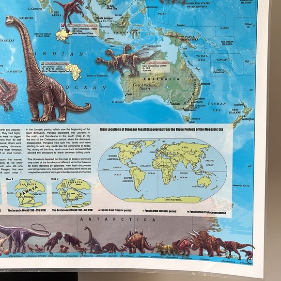 Dinosaur Map - Picture 6 of 7